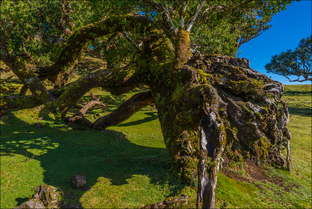 Madeira 24dec2024 08jan2025 149 00