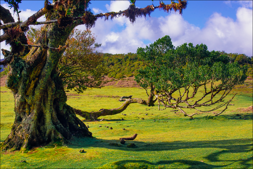 Madeira 24dec2024 08jan2025 154 00