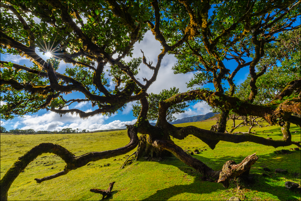 Madeira 24dec2024 08jan2025 158 00