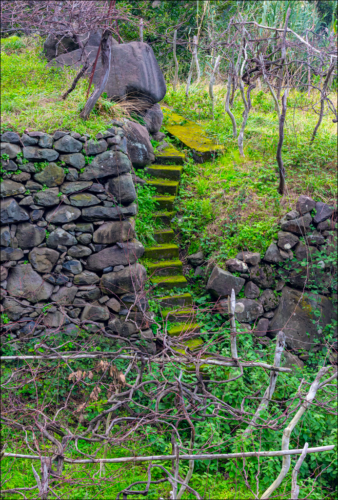 Madeira 24dec2024 08jan2025 173 00