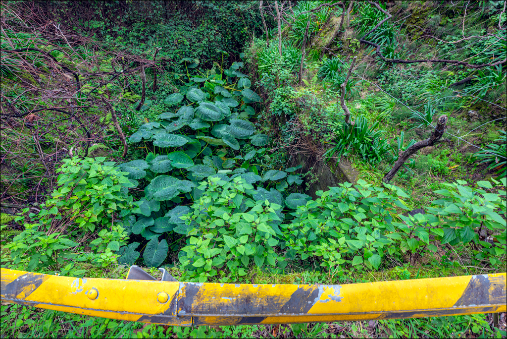 Madeira 24dec2024 08jan2025 174 00