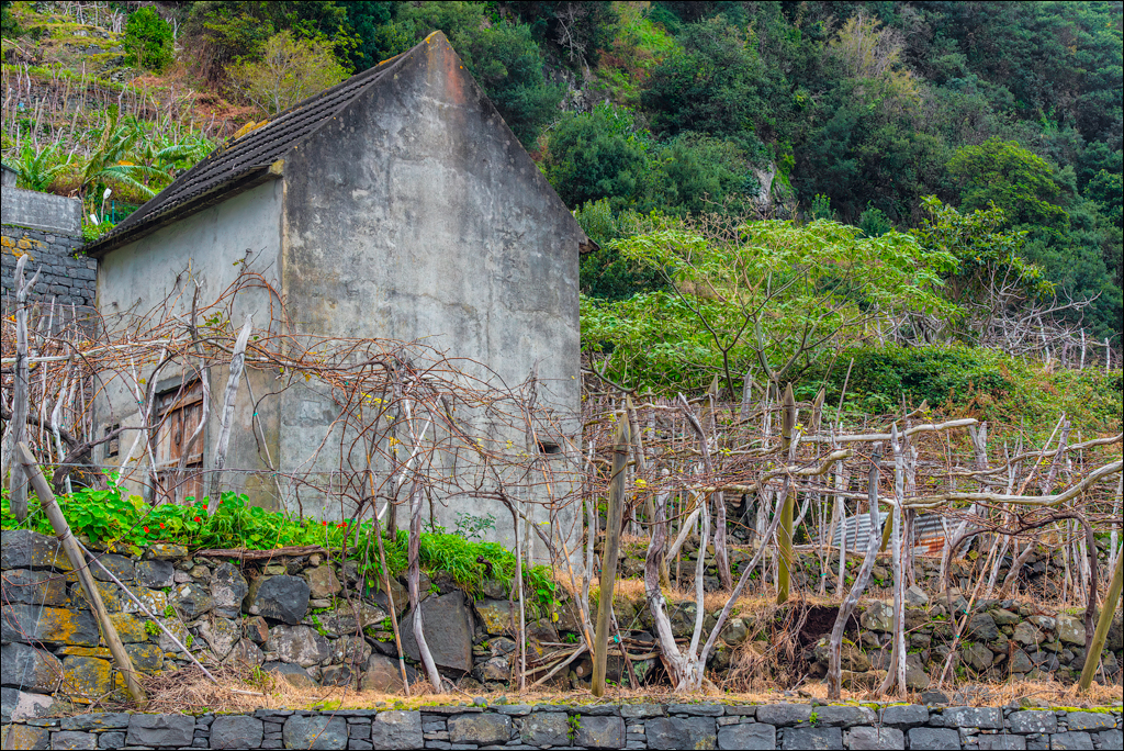 Madeira 24dec2024 08jan2025 182 00