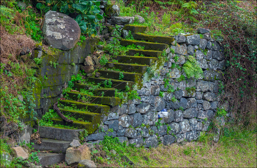Madeira 24dec2024 08jan2025 184 00