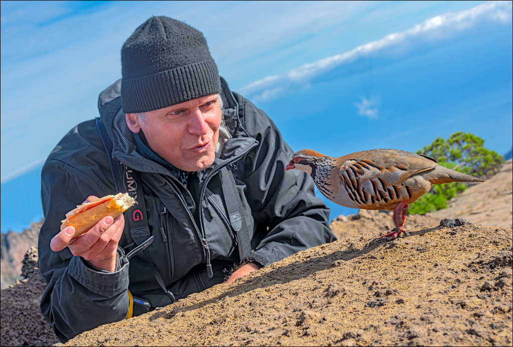 Madeira 24dec2024 08jan2025 160 00