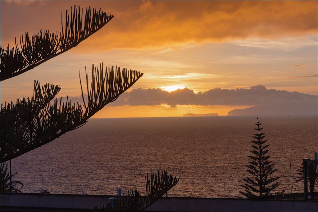 Madeira 24dec2024 08jan2025 121 00