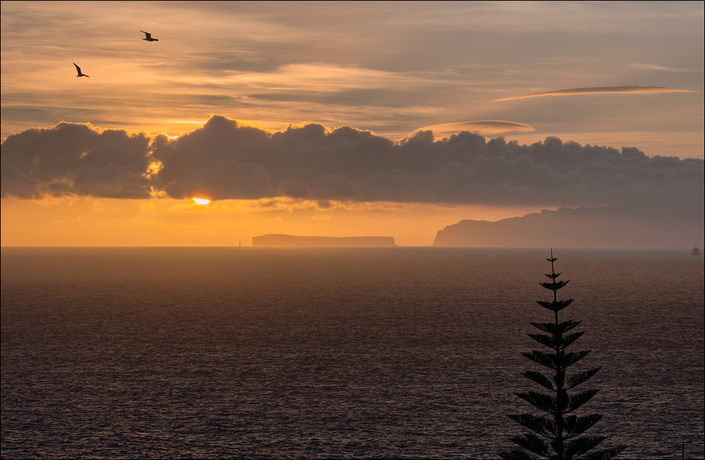 Madeira 24dec2024 08jan2025 123 00