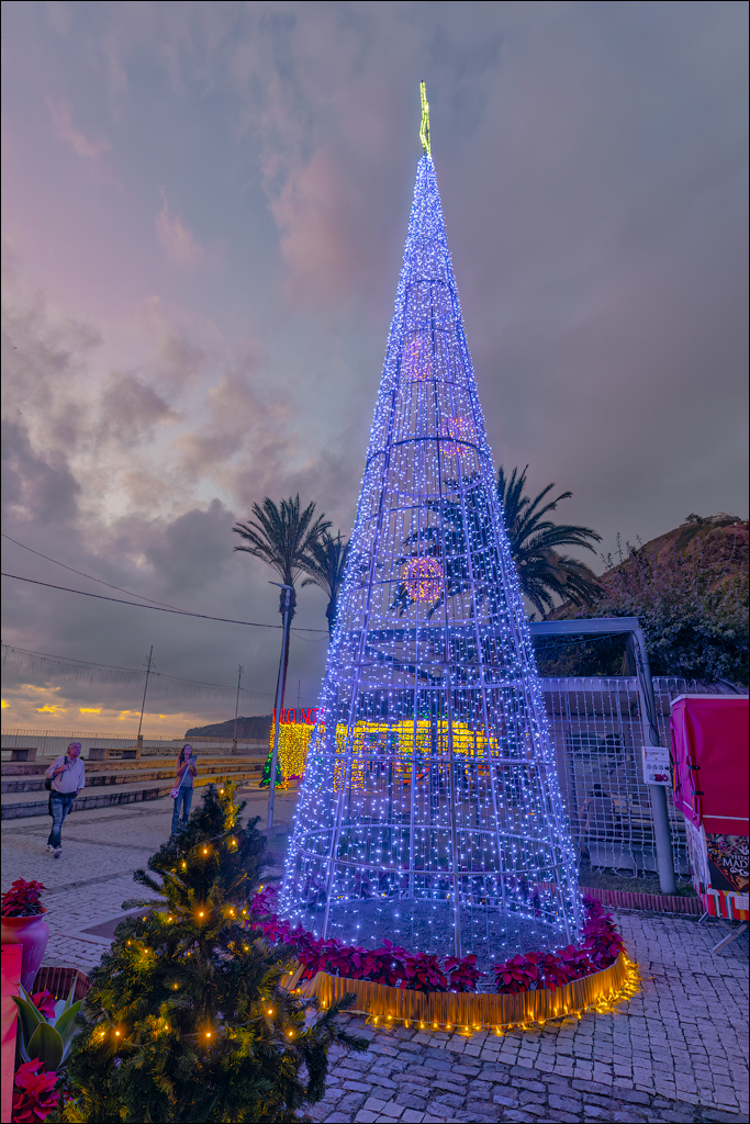 Madeira 24dec2024 08jan2025 124 00