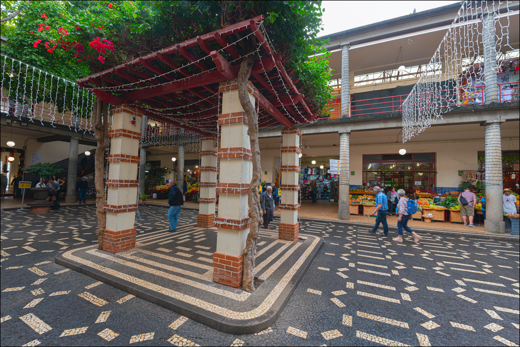 Madeira 24dec2024 08jan2025 156 00