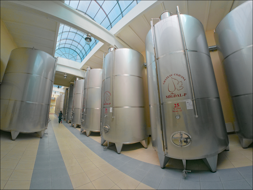 CojusnaWinery 27jul2024 148