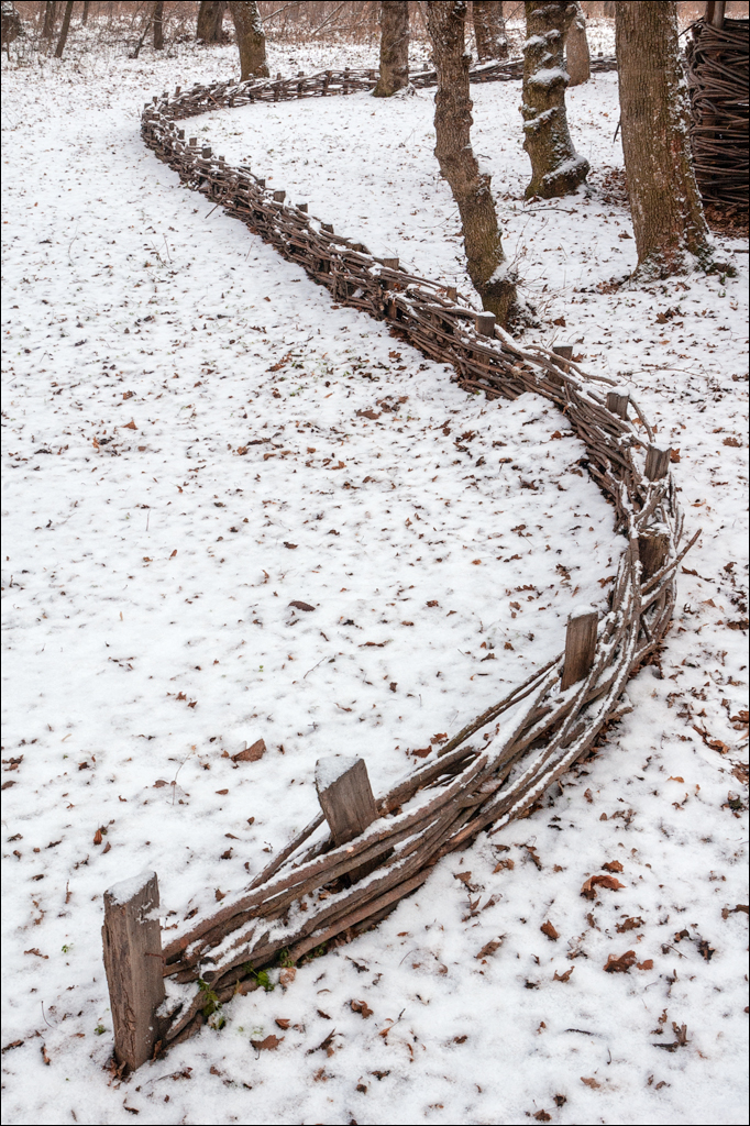 PadureaDomniasca Dec2005 002