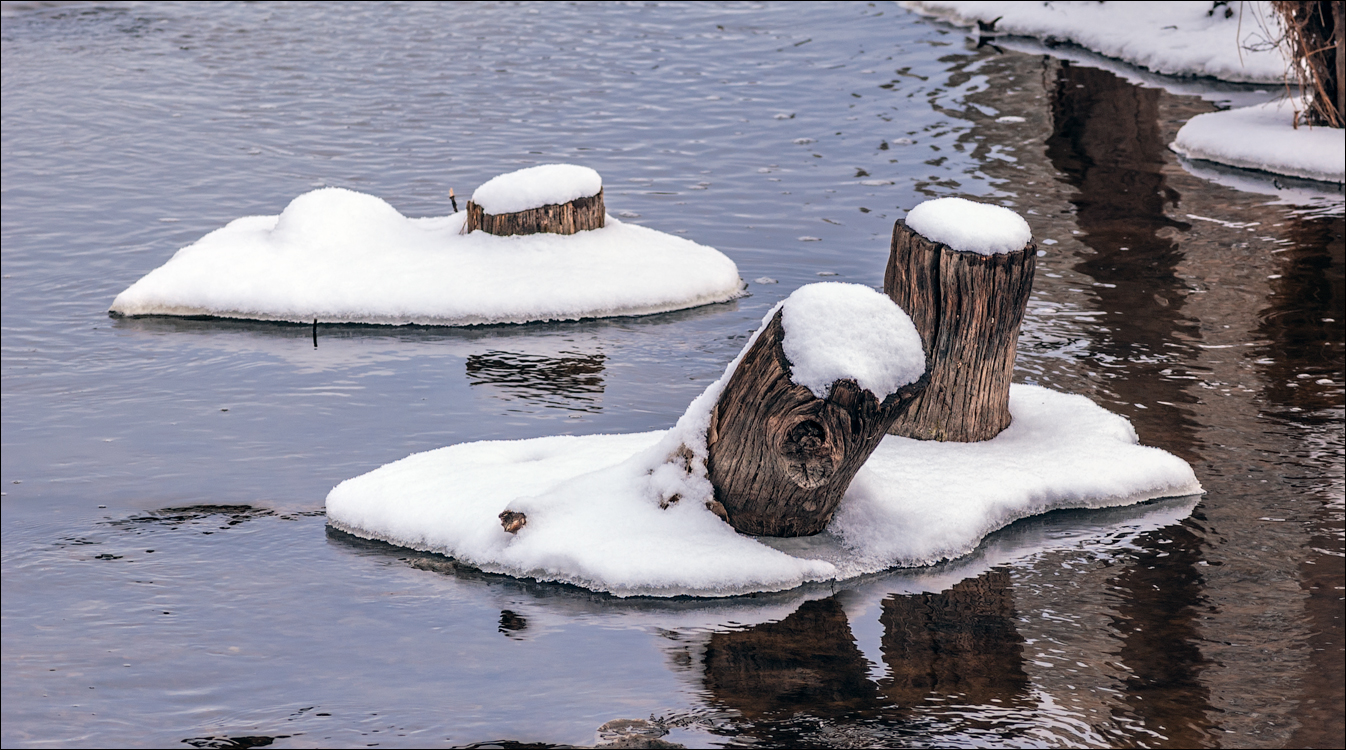 PadureaDomniasca Dec2005 012