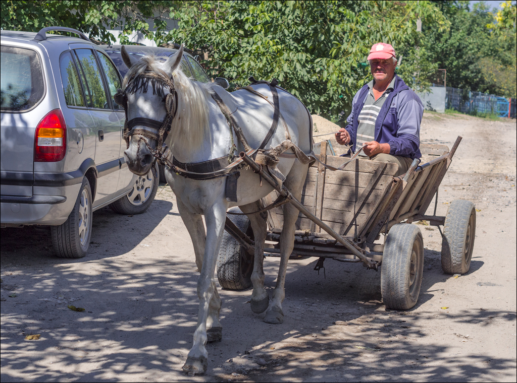 Sanatauca Racovat 201808011013