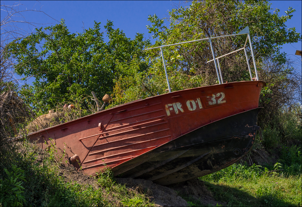 Sanatauca Racovat 201808011028