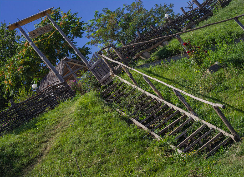 Sanatauca Racovat 201808011030