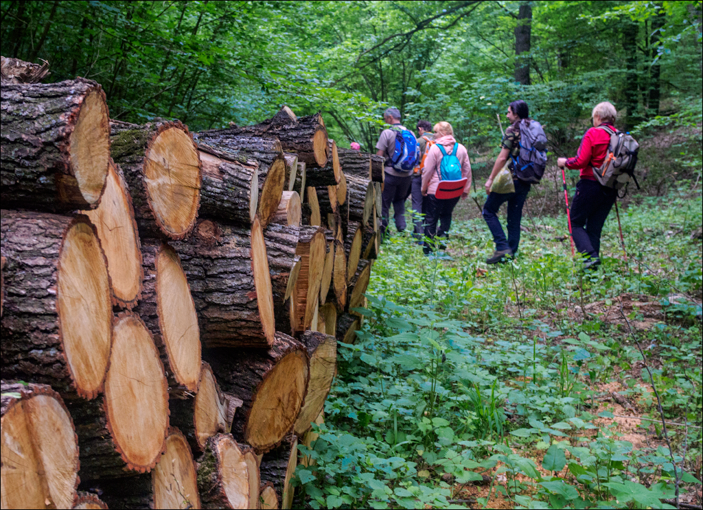 VadulRascov Socola 20180519005