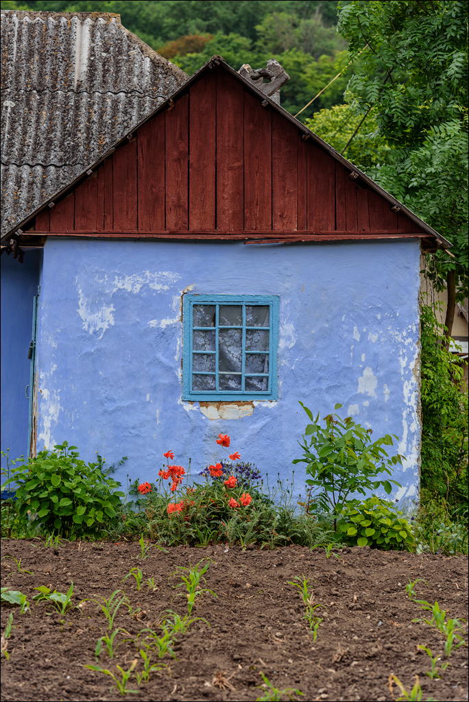 VadulRascov Socola 20180519047