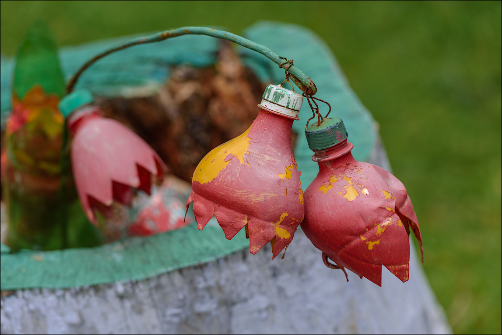 VadulRascov Socola 20180519060