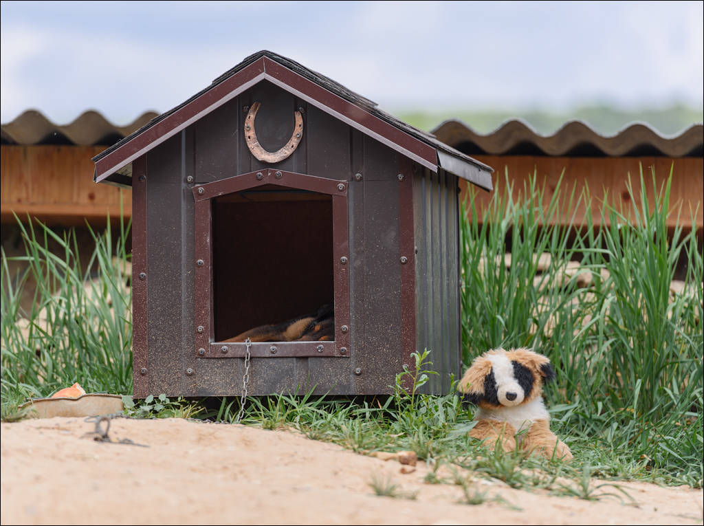 VadulRascov Socola 20180519079