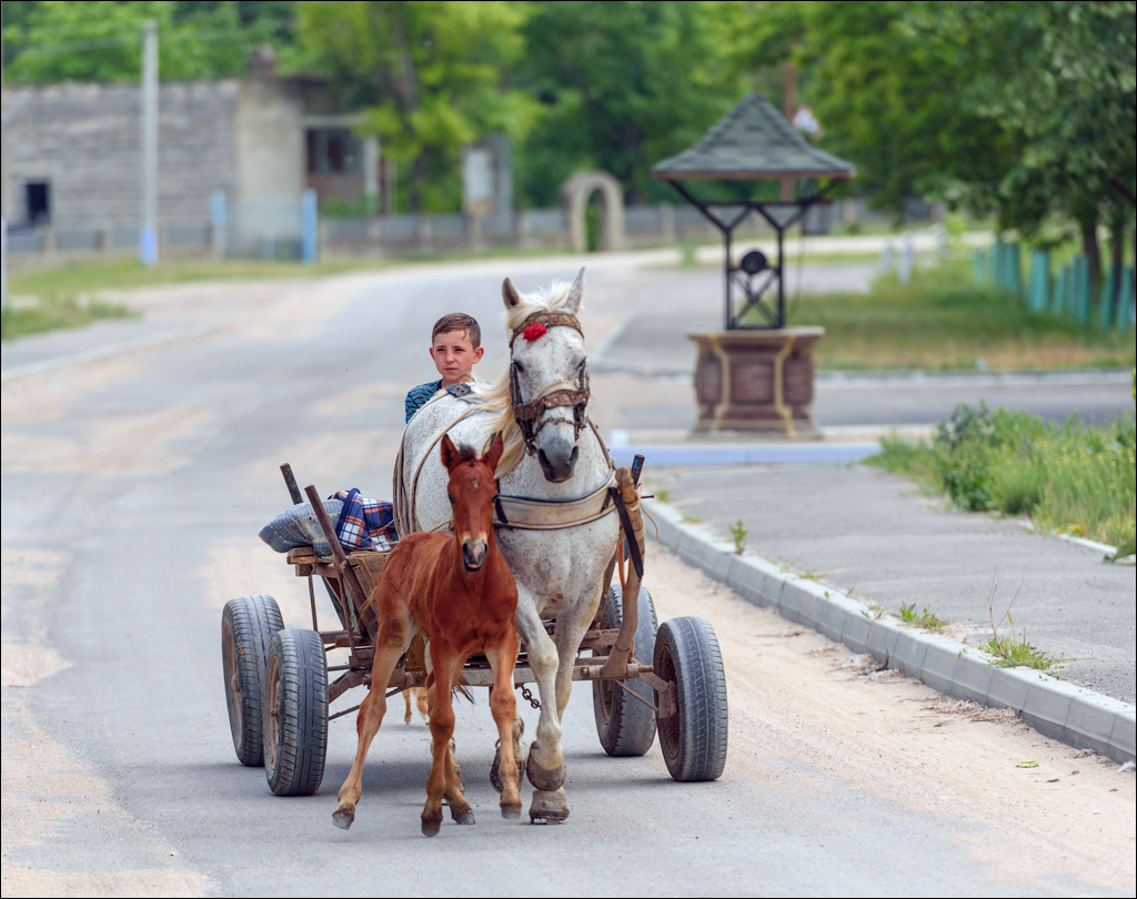 VadulRascov Socola 20180519080