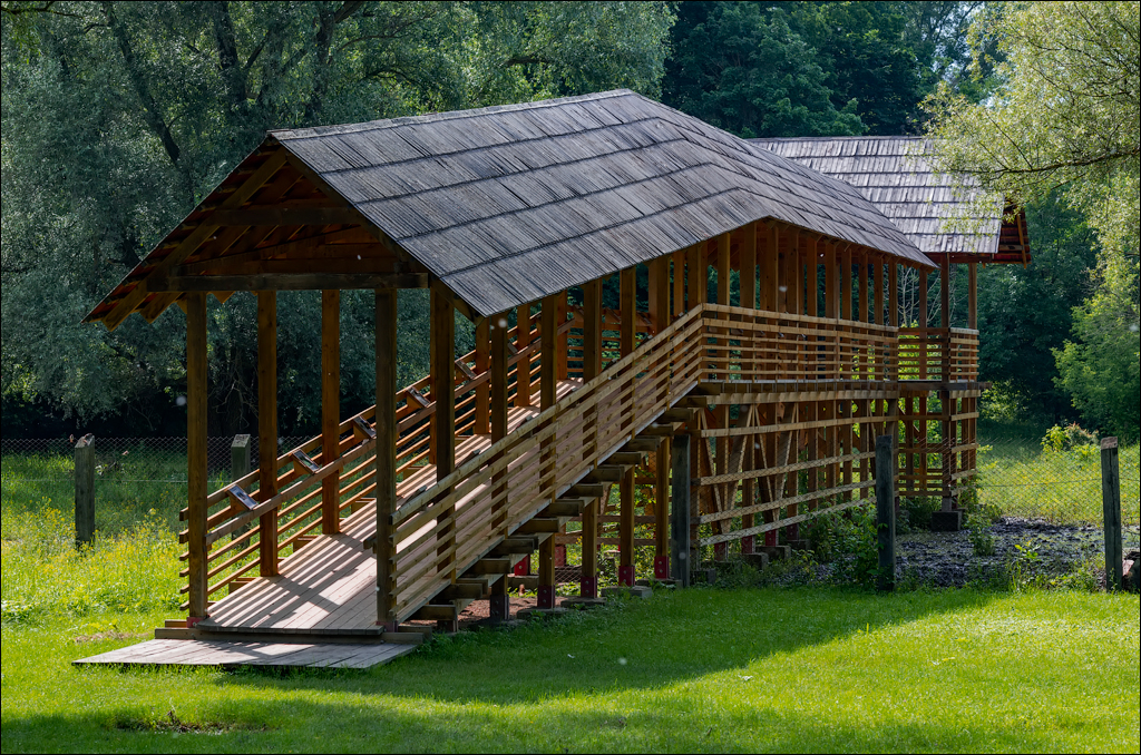 Costesti Duruitoarea PadureaDomn 20190427155