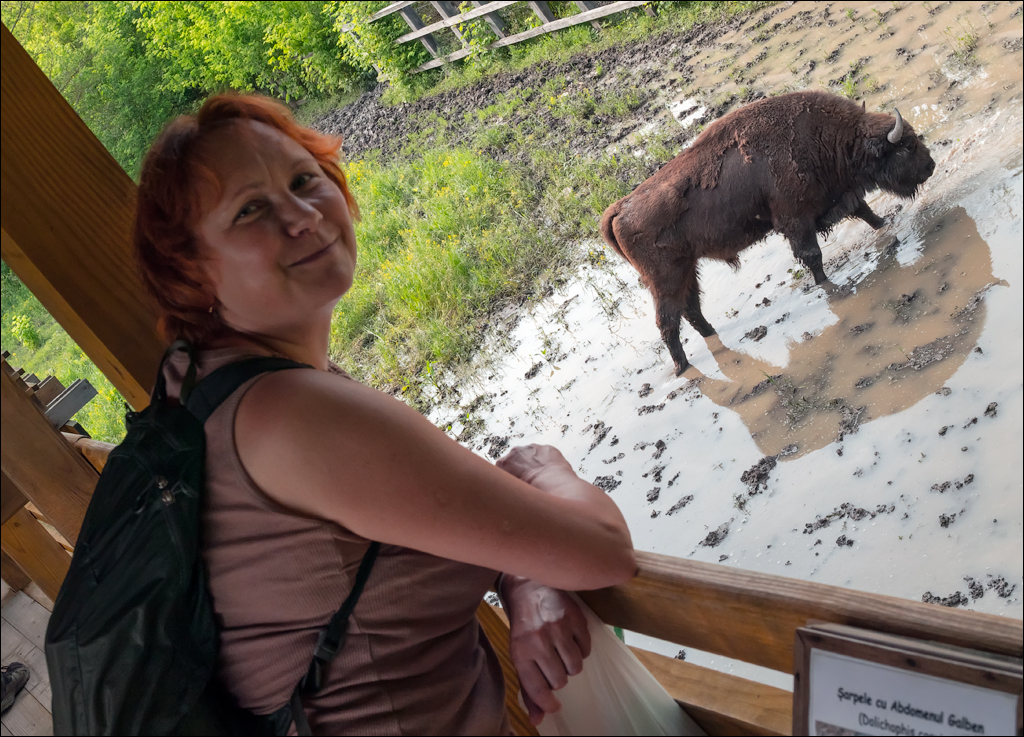 Costesti Duruitoarea PadureaDomn 20190427157