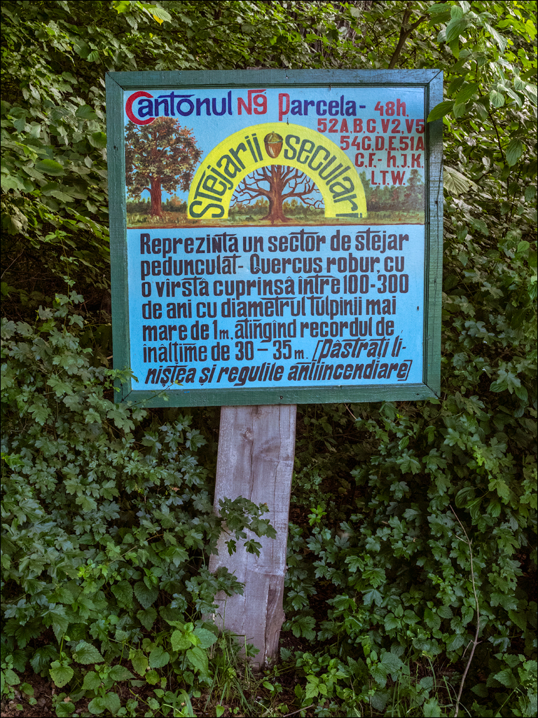 Costesti Duruitoarea PadureaDomn 20190427160