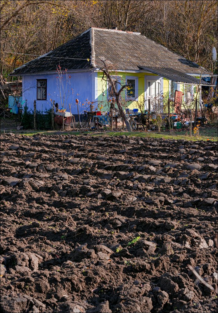 Naslavcea Taul Mindic 20201121 134