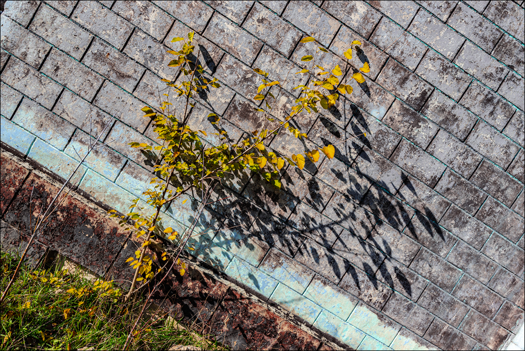 Naslavcea Taul Mindic 20201121 198