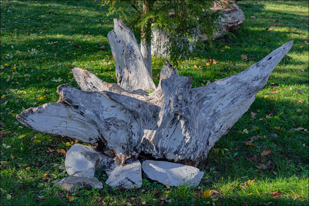 Naslavcea Taul Mindic 20201121 241