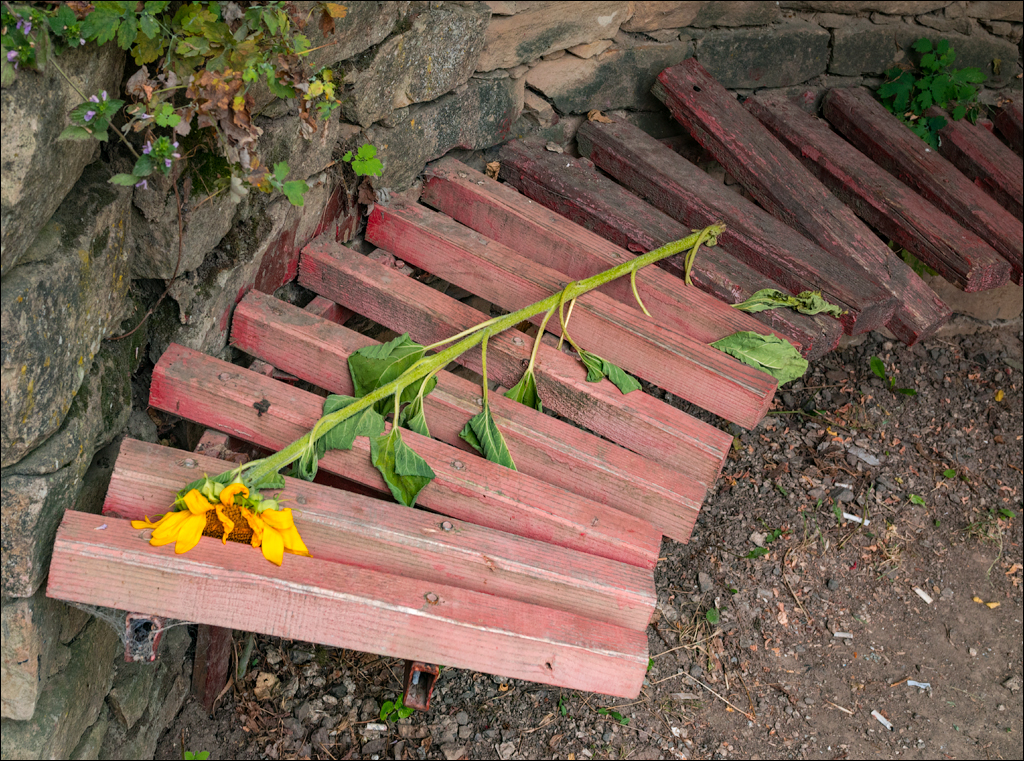 Soroca Ciuhuresti Saharna 20190427102