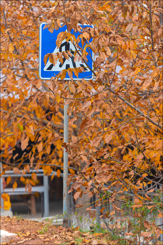 Taul Mindic122419 107