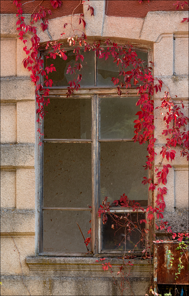 Taul Mindic122519 127