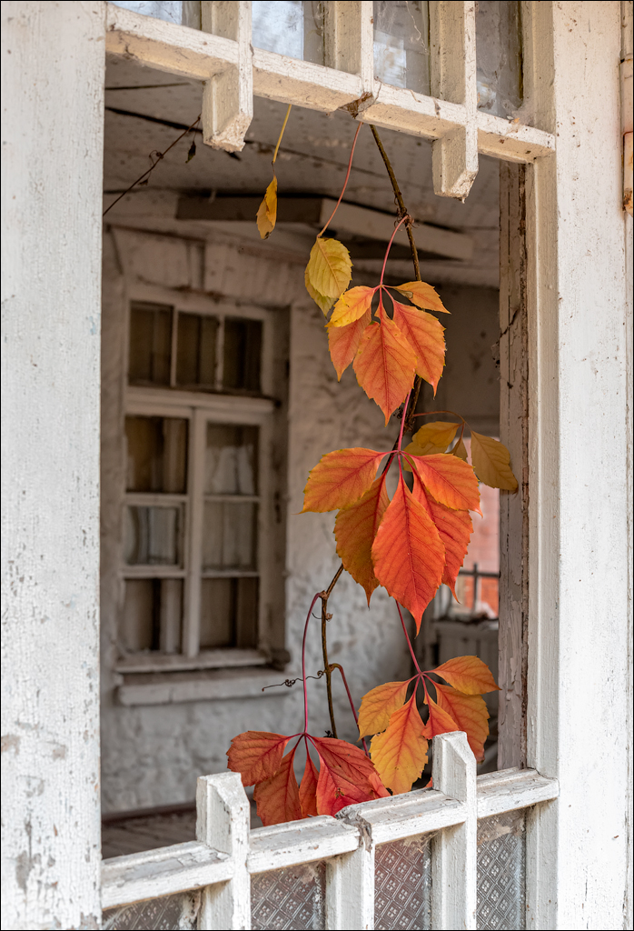 Taul Mindic122519 140