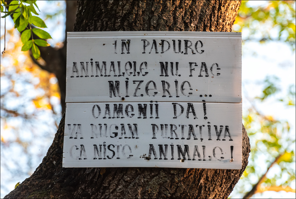 Taul Mindic122719 213