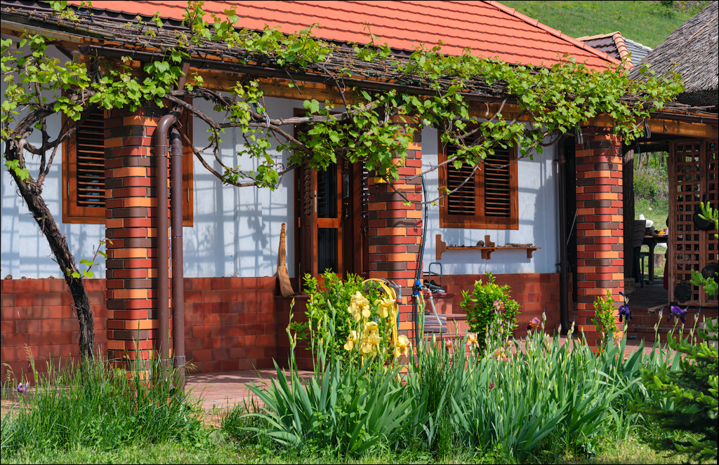 Varatic Duruitioarea Butesti 20210523 146