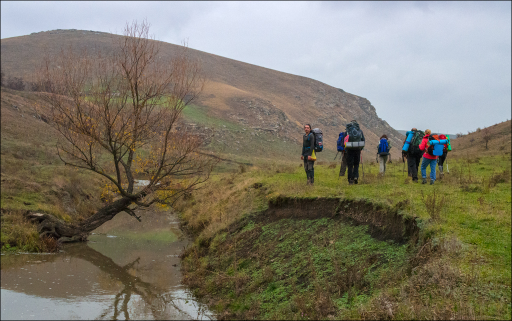 Brinzeni Trinca 20171110021