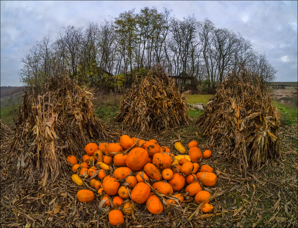 Brinzeni Trinca 20171110038