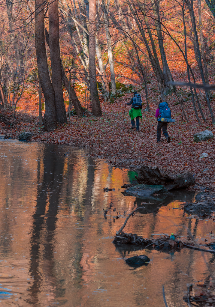 Brinzeni Trinca 20171110093