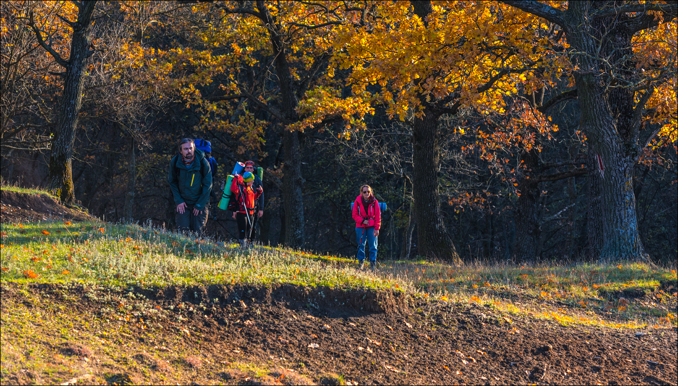 Brinzeni Trinca 20171110094