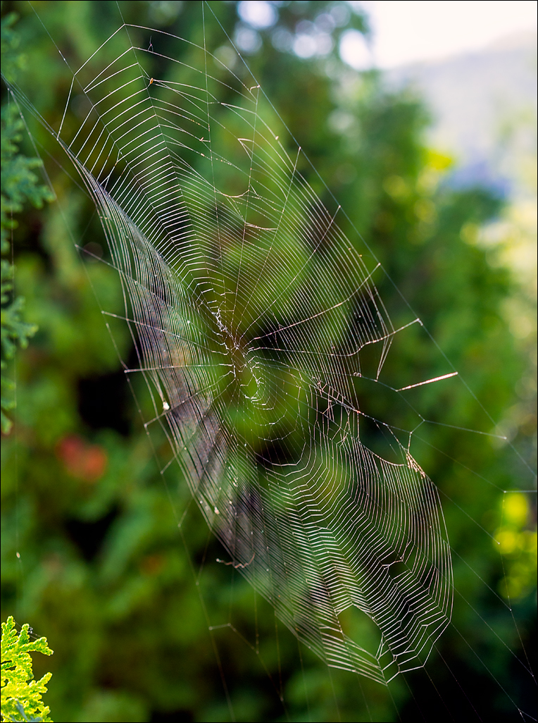 Soroca 5th Tower 16081760141