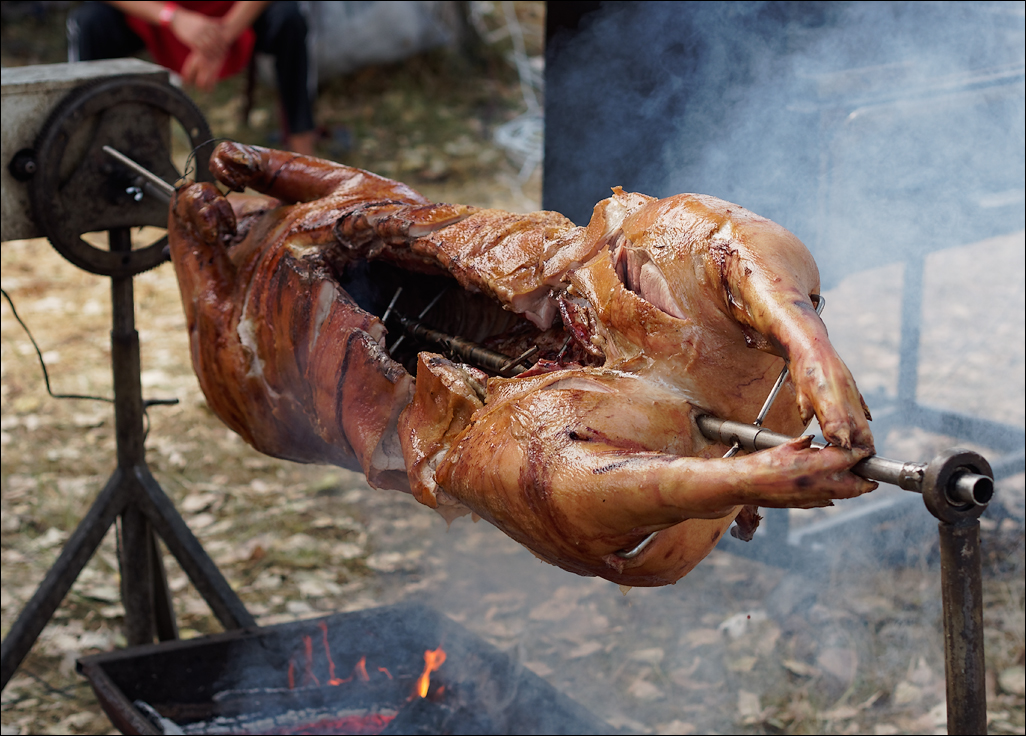 Gustar 201616080992254