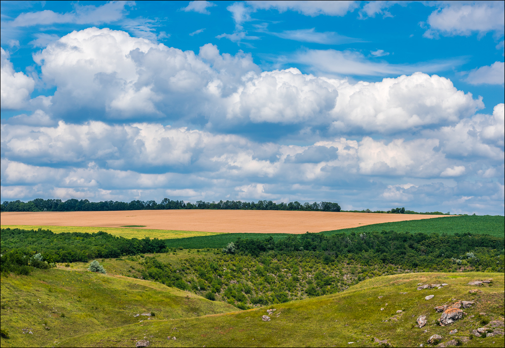 Horodiste SayCheeseFest Jun2018 069