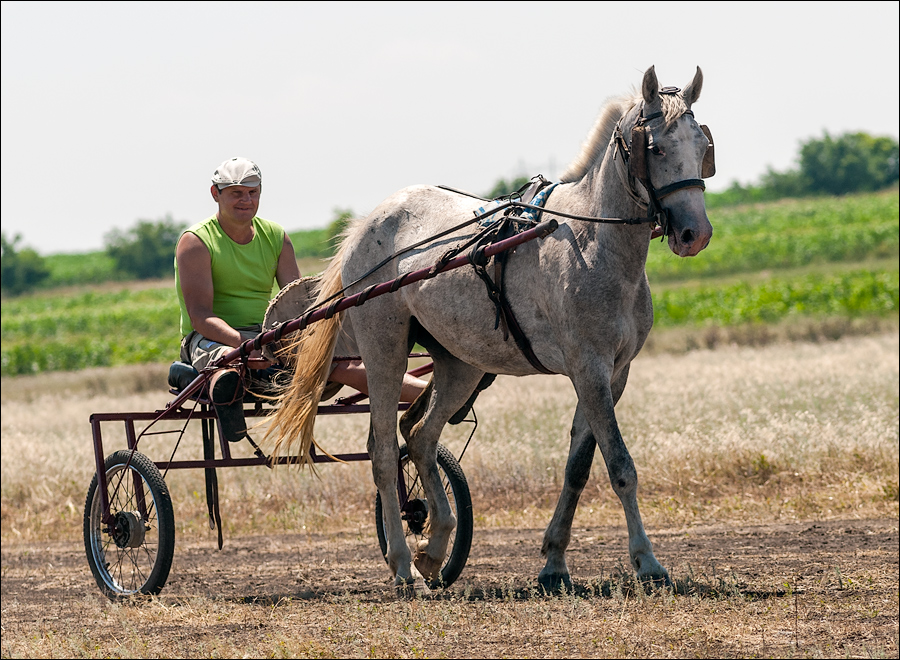 Tvardita 20150721131