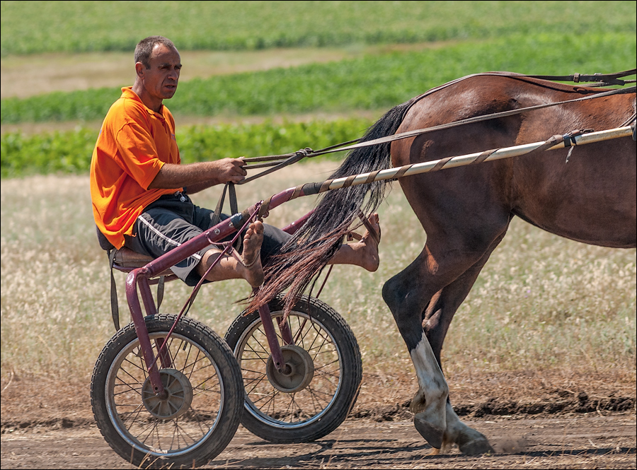Tvardita 20150721132