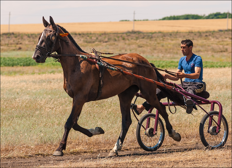 Tvardita 20150721133