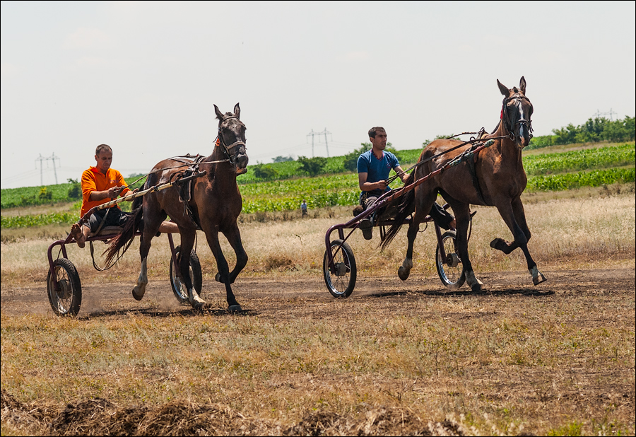 Tvardita 20150721139