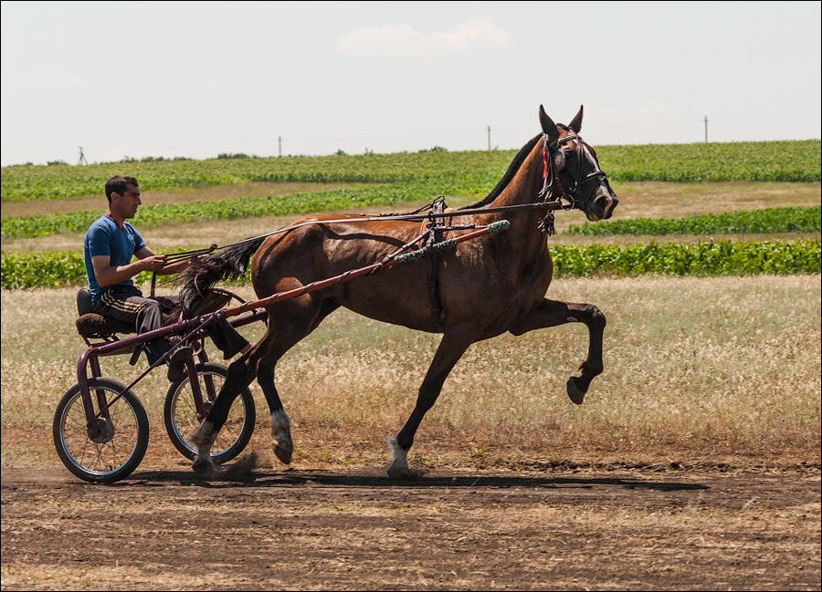 Tvardita 20150721140