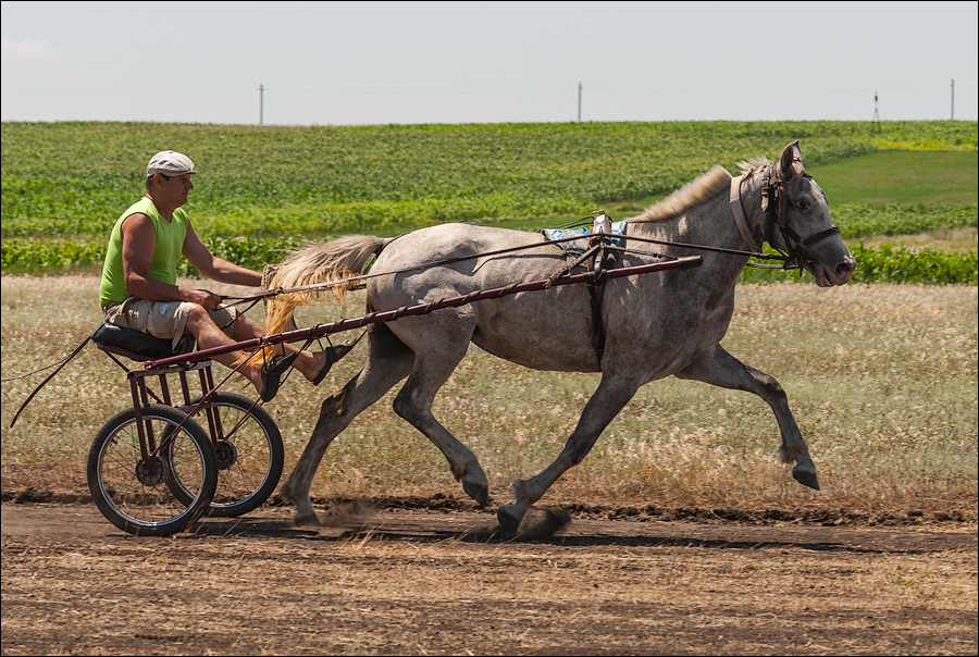 Tvardita 20150721142