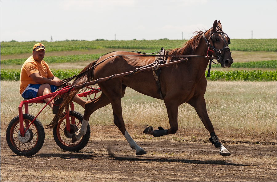 Tvardita 20150721155