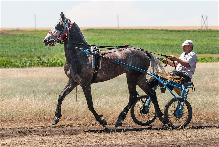 Tvardita 20150721166